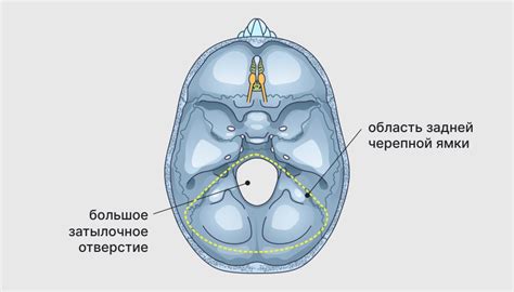 Профилактика аномалии головки