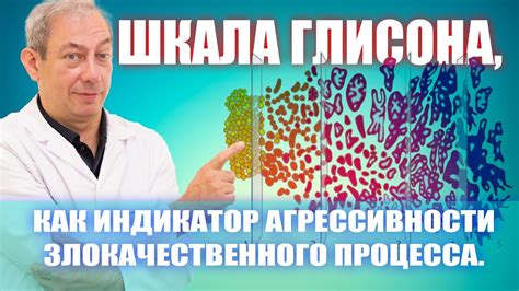 Профилактика злокачественного процесса