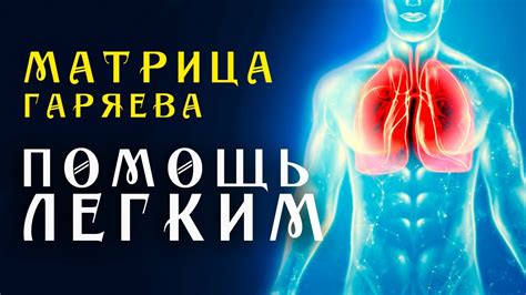 Профилактика и рекомендации для здоровья легких