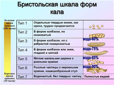 Профилактика и способы устранения непроходимости каловых масс у взрослых