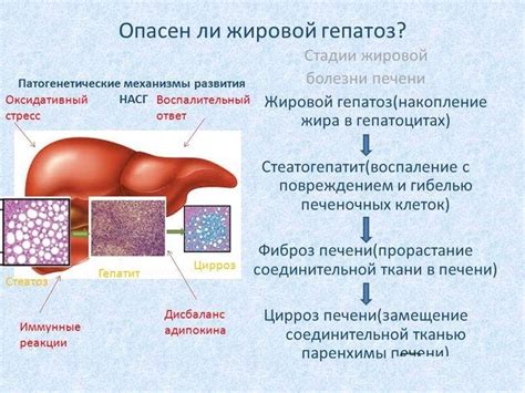 Профилактика печеночных заболеваний