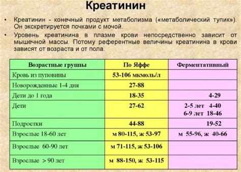 Профилактика повышенного ЛДГ 800 у взрослого