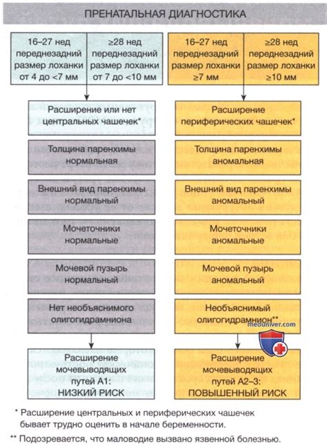 Профилактика расширения МВП