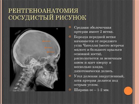 Профилактика усиления сосудистого рисунка щитовидной железы