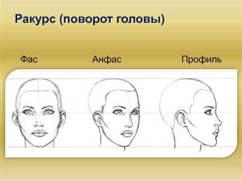 Профиль анфас для красоты