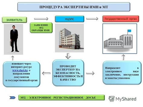 Процедура медицинской экспертизы