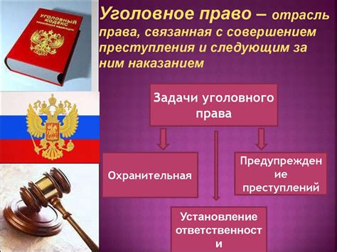 Процессуальная отрасль и уголовное право