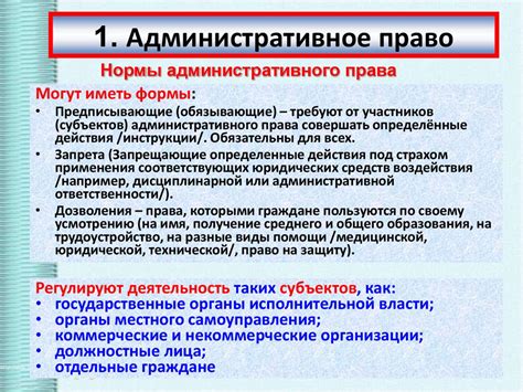 Процессуальный порядок в административном праве: примеры и основные моменты