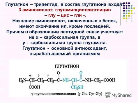 Процессы, в которых участвует глутатион