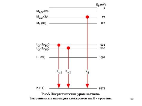 Процессы, лежащие в основе миксотрофии