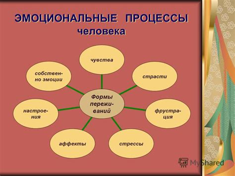 Процессы обработки эмоциональных переживаний в сновидениях