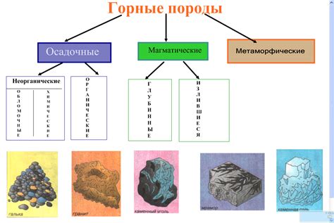 Процессы формирования чернолесья