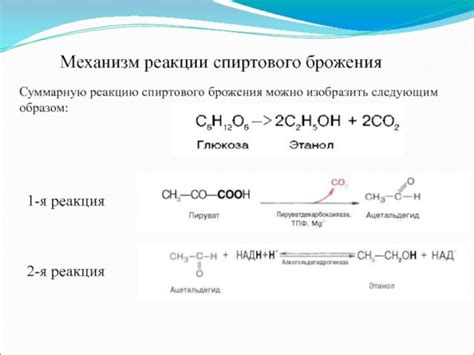 Процесс брожения и его механизм