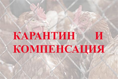 Процесс возмещения убытков