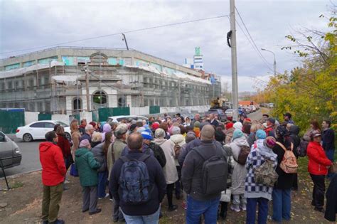 Процесс возрождения птушого оперения