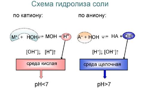 Процесс гидролиза и его механизм