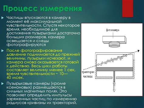 Процесс измерения эхогенности