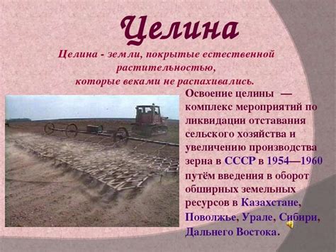 Процесс освоения и особенности целинных земель