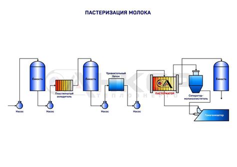 Процесс пастеризации сливок