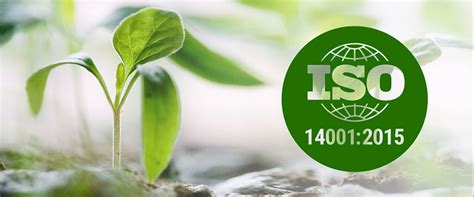 Процесс получения сертификата ISO 14001