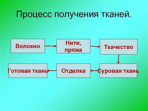 Процесс получения тканей животных