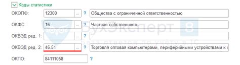 Процесс присвоения кода основного вида деятельности