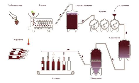 Процесс производства крю вин