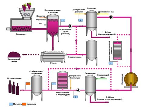 Процесс производства сухого вина