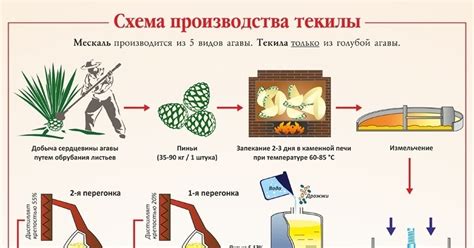 Процесс производства текилы