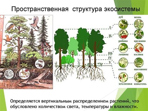 Процесс рекультивации терриконов в экологической системе