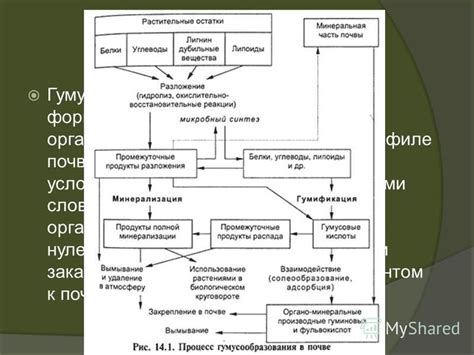 Процесс формирования профиля