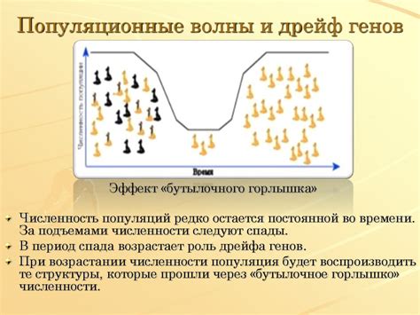 Процесс эволюции и самовыражение