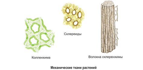 Прочные и эластичные волокна