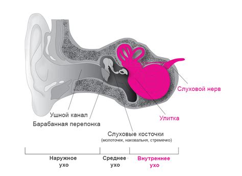 Прояви тугоухость третьей степени