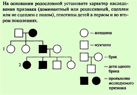 Проявление в генетике