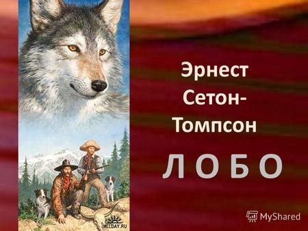 Проявление мифологического аспекта в снах о волках из неведомого мира