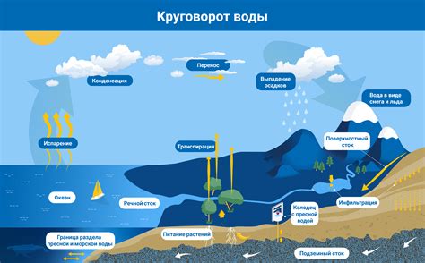 Проявления воды в сновидениях