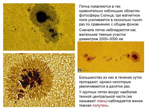 Проявления зимнего лемещета солнца