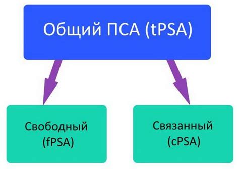 Пса и его значение в организме