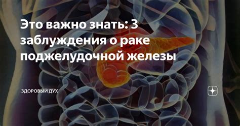 Псевдокиста поджелудочной железы: всё, что важно знать