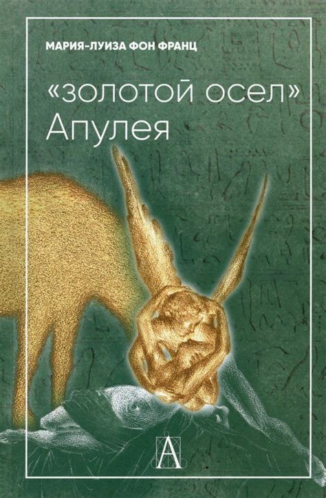 Психологическая интерпретация снов о загадочном мужчине, передающем эстафету