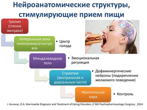 Психологические аспекты нахального поведения