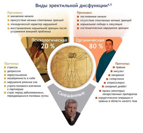 Психологические аспекты эрекции