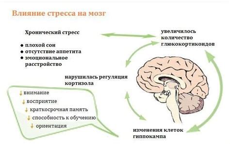 Психологические причины возникновения ночных сновидений о заболевании инсультом у близких людей