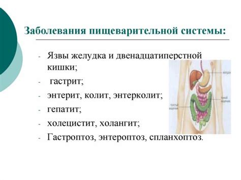 Психологические толкования снов о "нестабильности пищеварительной системы"