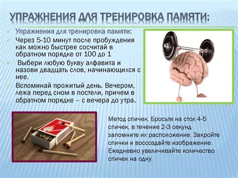 Психологические тренировки и развитие стремления