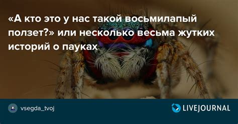 Психологический анализ снов о пауках у представителей прекрасного пола