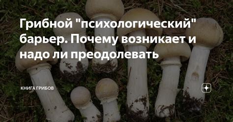 Психологический подтекст образа грибов