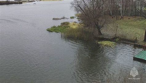 Психологический разбор сновидения с утонувшим мужчиной в воде