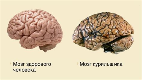 Психологический эффект на курильщиков